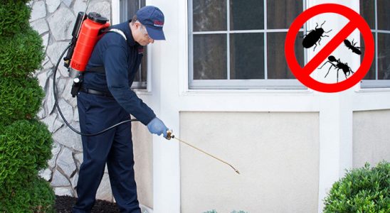 Yenipazar Gümüşkurt İlaçlama böcek ilaçlama ve haşere kontrolü — ilaclama-tr.com